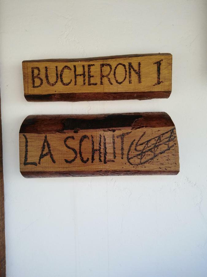 Le Gite Du Bucheron Dabo Exterior foto