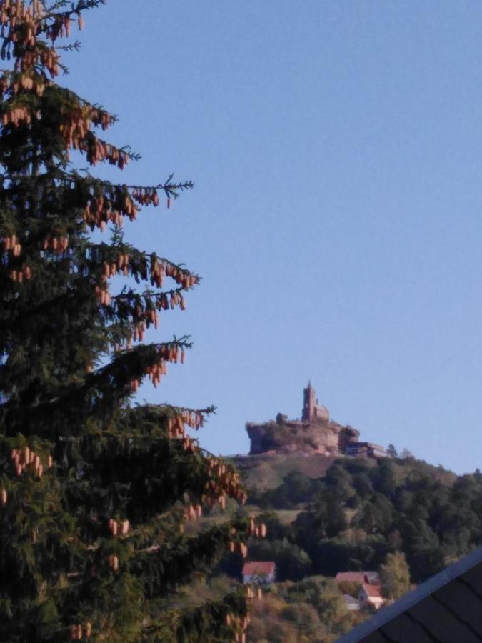 Le Gite Du Bucheron Dabo Exterior foto